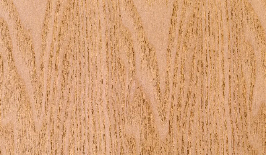 Prodotti per il legno: soluzioni pratiche per proteggerlo e valorizzarlo